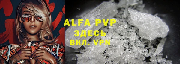 твердый Алзамай