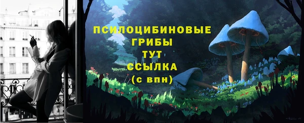 ПСИЛОЦИБИНОВЫЕ ГРИБЫ Липки